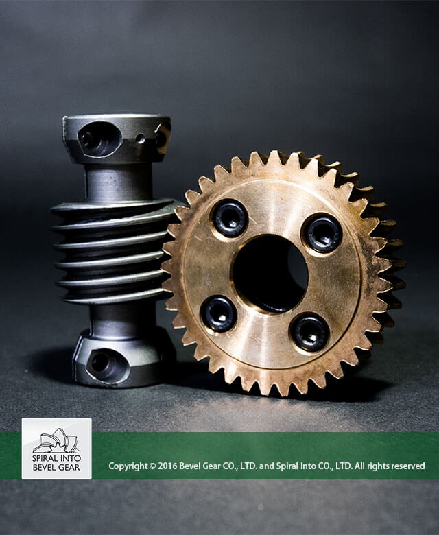蝸桿與蝸輪 — Bevel Gear Co., Ltd